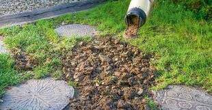 L'Ami des Jardins 1184 Jardiner en mars…