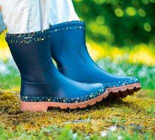 L'Ami des Jardins 1184 Pieds printaniers