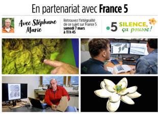 L'Ami des Jardins 1184 L'origine des fleurs : une enquête scientifique fascinante