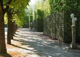 L'Ami des Jardins 1184 Versailles restaure un joyau méconnu de ses jardins