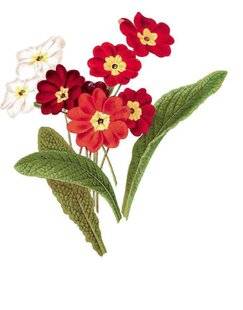 L'Ami des Jardins 1184 LES PRIMEVÈRES