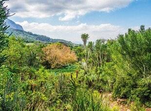 L'Ami des Jardins 1184 12 000