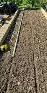 L'Ami des Jardins 1184 SEMER DES CAROTTES SANS TRAVAIL DU SOL