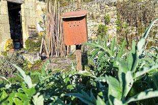 L'Ami des Jardins 1184 PRÉFÉRER DES NICHOIRS SÉLECTIFS PLUTÔT QUE DES HÔTELS À INSECTES