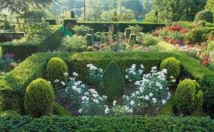 L'Ami des Jardins 1184 Le style Bridgerton