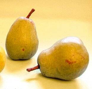 L'Ami des Jardins 1184 UNE SAVOUREUSE POIRE CLASSIQUE