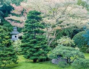 L'Ami des Jardins 1184 Une petite touche d'Asie