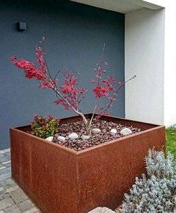 L'Ami des Jardins 1184 Soigner un érable en bac