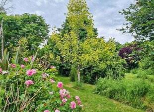 L'Ami des Jardins 1184 VOS PHOTOS