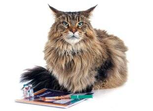 L'Ami des Jardins 1184 Planifiez sans stress vaccins et antiparasitaires