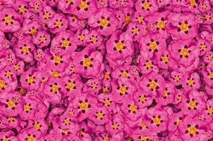 L'Ami des Jardins 1185 Tapis rose