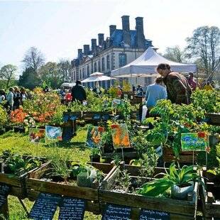L'Ami des Jardins 1185 Tous au château !