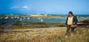 L'Ami des Jardins 1185 Le littoral breton, un comptoir d'épices locales