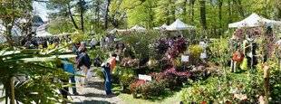 L'Ami des Jardins 1185 Saint-Jean, le goût des belles plantes
