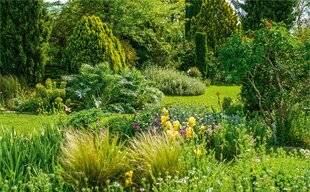 L'Ami des Jardins 1185 LE JARDIN DE TOUS LES DÉFIS