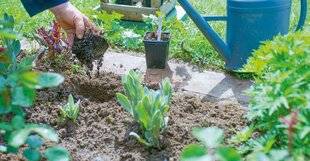 L'Ami des Jardins 1185 LE CAHIER PRATIQUE 100% bio Jardiner en avril…