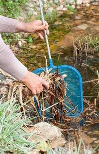 L'Ami des Jardins 1185 Opération grand nettoyage