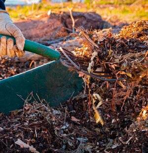 L'Ami des Jardins 1185 Que peut-on mettre au compost ?