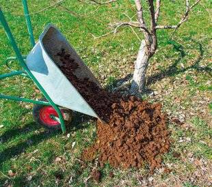 L'Ami des Jardins 1185 LE FUMIER, ÇA BRÛLE !