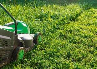 L'Ami des Jardins 1185 REPRENDRE LES BONNES HABITUDES