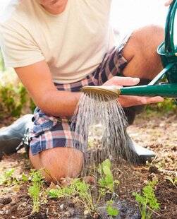 L'Ami des Jardins 1185 UNE POMME FINE POUR BIEN ARROSER LES SEMIS