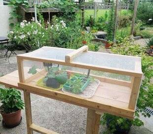 L'Ami des Jardins 1185 UNE CLOCHE ANTI-INSECTES