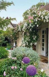 L'Ami des Jardins 1185 MA PASSION POUR LES ROSIERS