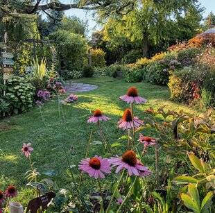 L'Ami des Jardins 1185 17e PRIX*