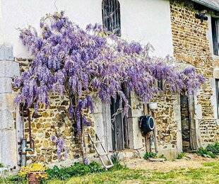 L'Ami des Jardins 1185 NOTRE JARDIN FAMILIAL NORMANDParents de jeunes enfants, nous avons eu à cœur de leur montrer que notre jardin peut être source de bonheur. Nous avons réalisé un carré potager en hauteur, qui nous permet de l'entretenir et de cueillir les légumes facilement. Notre fils a imaginé et construit (avec l'aide de son papa) un magnifique hôtel à insectes. Il est installé à proximité du carré potager et du verger.