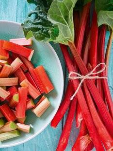 L'Ami des Jardins 1185 LA RHUBARBE