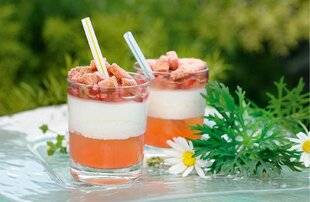 L'Ami des Jardins 1185 Verrines de rhubarbe et mousse vanille