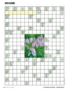 L'Ami des Jardins 1185 MOTS FLÉCHÉS