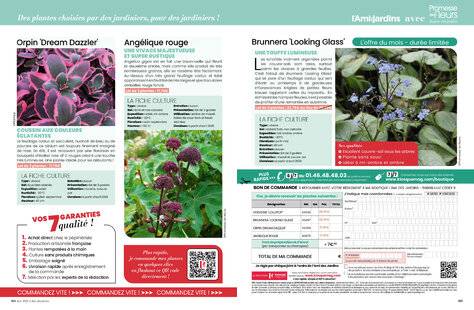 L'Ami des Jardins 1185 L'AMI DES JARDINS