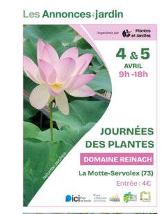 L'Ami des Jardins 1185 DOMAINE REINACH