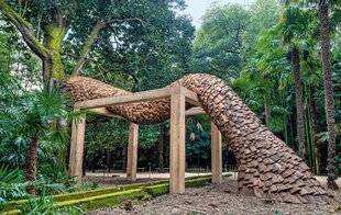 L'Ami des Jardins 1186 La Bambouseraie en Cévennes