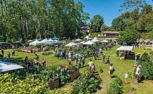 L'Ami des Jardins 1186 Pour l'amour d'un jardin