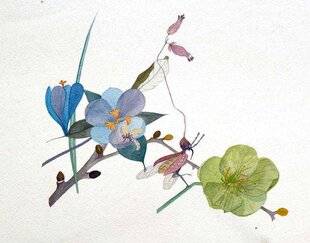 L'Ami des Jardins 1186 Gilles Clément