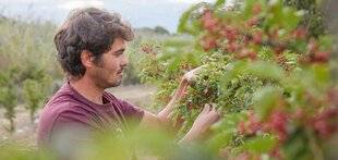 L'Ami des Jardins 1186 Nouvelles cultures : l'agriculture se réinvente