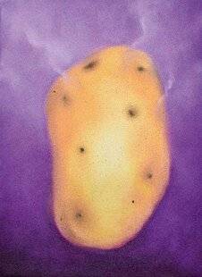 L'Ami des Jardins 1186 Vive les patates !