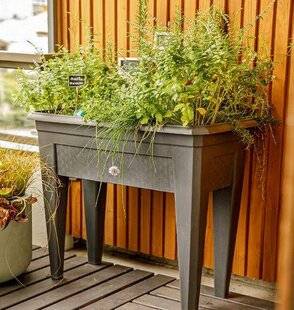 L'Ami des Jardins 1186 Saveurs au balcon