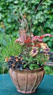 L'Ami des Jardins 1186 Mariez-les