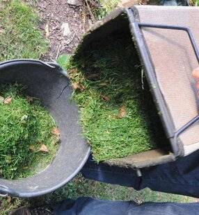 L'Ami des Jardins 1186 FAUT-IL APPORTER DES ENGRAIS ?