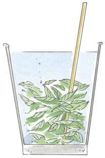 L'Ami des Jardins 1186 FABRIQUER UN EXTRAIT FERMENTÉ DE CONSOUDE