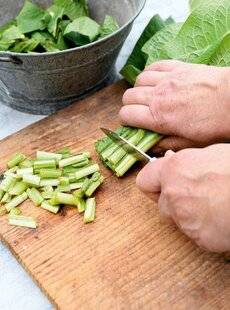 L'Ami des Jardins 1186 DES PUCERONS SUR LES FÈVES
