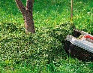 L'Ami des Jardins 1186 PAILLER AVEC LES TONTES DE GAZON