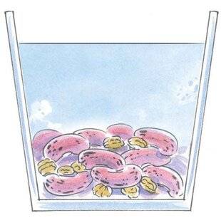 L'Ami des Jardins 1186 DES HARICOTS POUR LA DÉCO