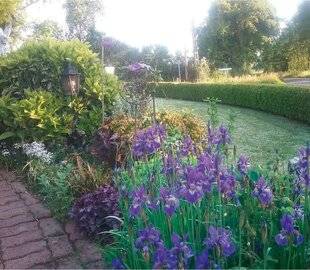 L'Ami des Jardins 1186 LE JARDIN D'UNE VIE