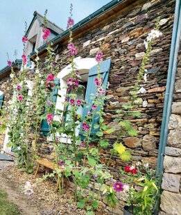 L'Ami des Jardins 1186 LE JARDIN C'EST LA SANTÉ !