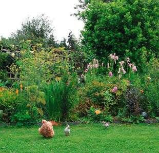 L'Ami des Jardins 1186 VOS PLUS BELLES SCÈNES DE JARDIN