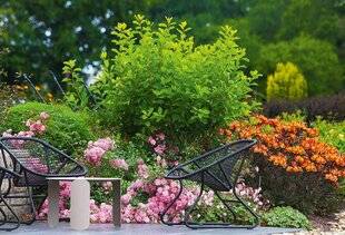 L'Ami des Jardins 1186 Les jardins de Kerniguez(Finistère)